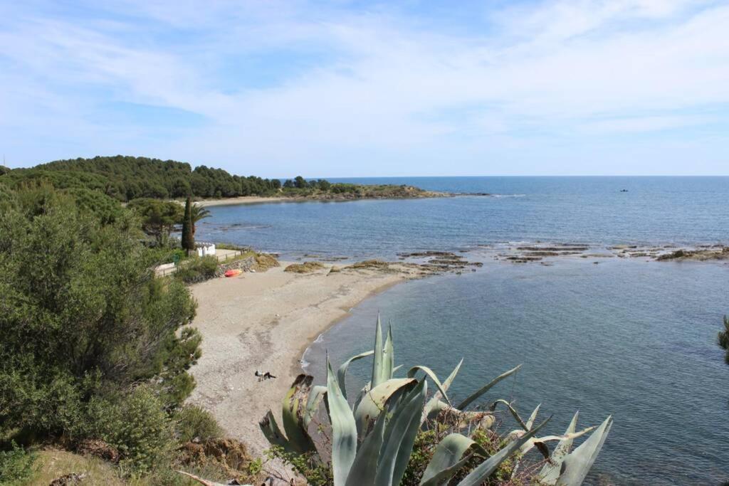 Luxury 4 Bed Apartment On Coastal Footpath At Cap Ras Llança Dış mekan fotoğraf